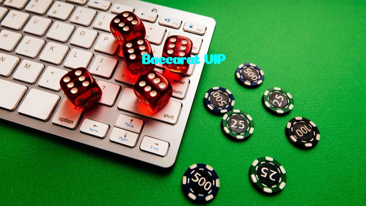 available types of Baccarat VIP bet including pre-match live express and system bets